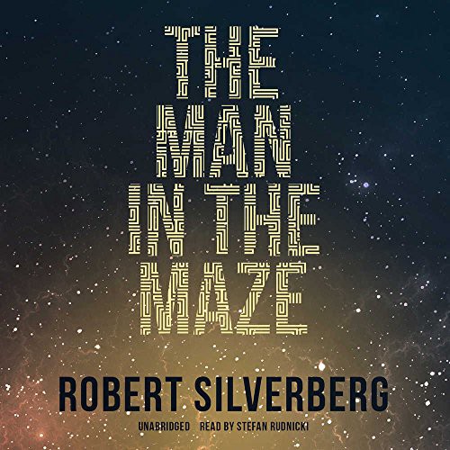 Front cover of The Man in the Maze