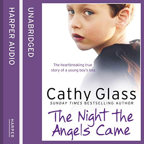 Front cover of The Night the Angels Came
